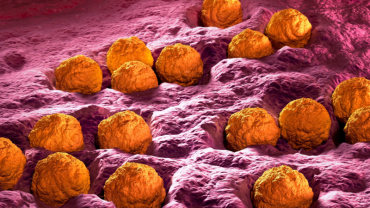 rubella va thai ky  vi sao phu nu nen tiem phong truoc khi mang thai